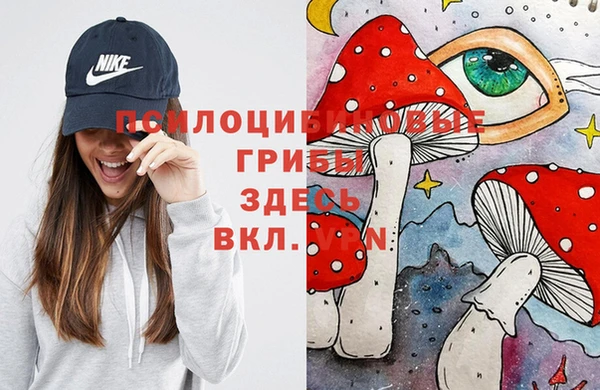 твердый Баксан