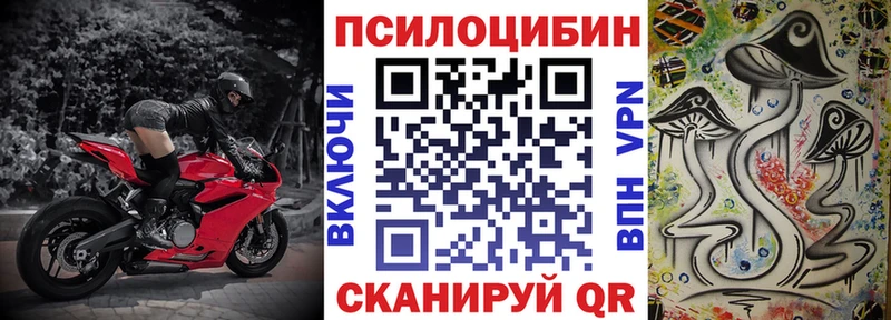 сколько стоит  Балтийск  Галлюциногенные грибы Psilocybe 